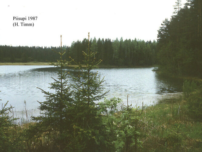 Maakond: Lääne-Virumaa Veekogu nimi: Piisupi järv Pildistamise aeg: 1987 Pildistaja: H. Timm Pildistamise koht: teadmata Asimuut: