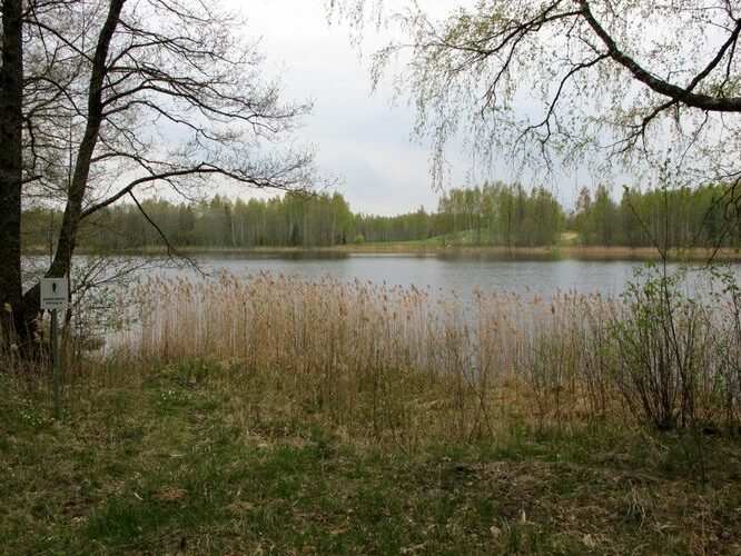 Maakond: Põlvamaa Veekogu nimi: Pindi Kärnjärv Pildistamise aeg: 5. mai 2012 Pildistaja: H. Timm Pildistamise koht: teadmata Asimuut: