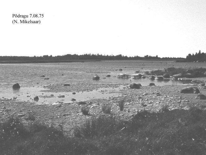 Maakond: Saaremaa Veekogu nimi: Põdragu järv Pildistamise aeg: 7. august 1975 Pildistaja: N. Mikelsaar Pildistamise koht: teadmata Asimuut: