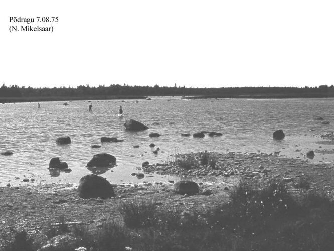 Maakond: Saaremaa Veekogu nimi: Põdragu järv Pildistamise aeg: 7. august 1975 Pildistaja: N. Mikelsaar Pildistamise koht: teadmata Asimuut: