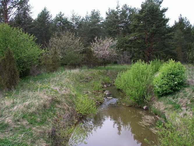 Maakond: Saaremaa Veekogu nimi: Põduste jõgi Pildistamise aeg: 14. mai 2008 Pildistaja: H. Timm Pildistamise koht: Jõesuu Asimuut: