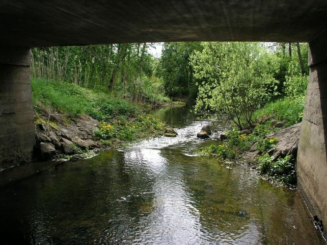 Maakond: Saaremaa Veekogu nimi: Põduste jõgi Pildistamise aeg: 14. mai 2008 Pildistaja: H. Timm Pildistamise koht: Laadjala Asimuut: