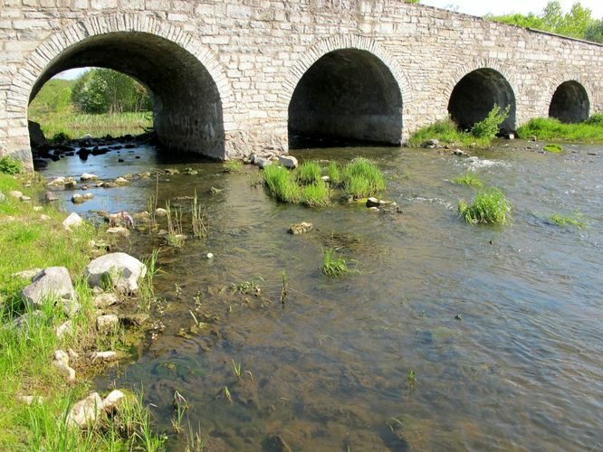 Maakond: Saaremaa Veekogu nimi: Põduste jõgi Pildistamise aeg: 22. mai 2011 Pildistaja: H. Timm Pildistamise koht: Kuressaare vana sild Asimuut: