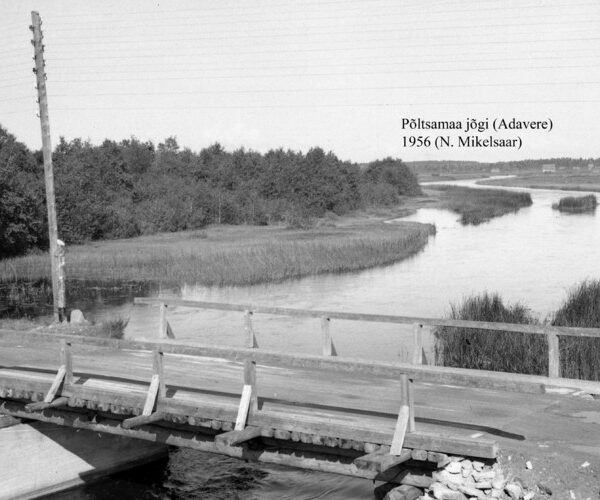 Maakond: Järvamaa Veekogu nimi: Põltsamaa jõgi Pildistamise aeg: 1956 Pildistaja: N. Mikelsaar Pildistamise koht: Adavere Asimuut: