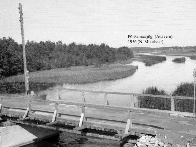 Maakond: Järvamaa Veekogu nimi: Põltsamaa jõgi Pildistamise aeg: 1956 Pildistaja: N. Mikelsaar Pildistamise koht: Adavere Asimuut: