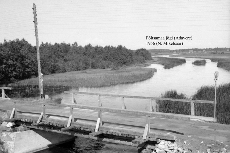 Maakond: Järvamaa Veekogu nimi: Põltsamaa jõgi Pildistamise aeg: 1956 Pildistaja: N. Mikelsaar Pildistamise koht: Adavere Asimuut: