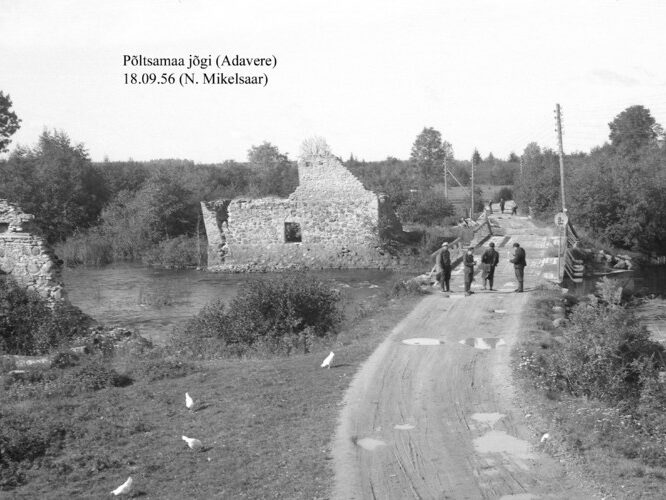 Maakond: Järvamaa Veekogu nimi: Põltsamaa jõgi Pildistamise aeg: 18. september 1956 Pildistaja: N. Mikelsaar Pildistamise koht: Adavere Asimuut: