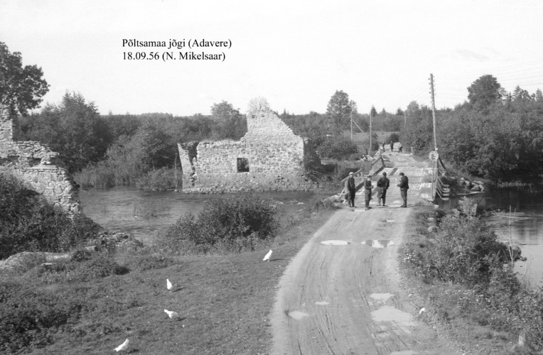 Maakond: Järvamaa Veekogu nimi: Põltsamaa jõgi Pildistamise aeg: 18. september 1956 Pildistaja: N. Mikelsaar Pildistamise koht: Adavere Asimuut: