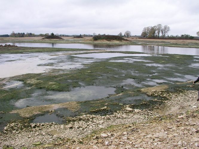 Maakond: Jõgevamaa Veekogu nimi: Põltsamaa jõgi Pildistamise aeg: 16. oktoober 2007 Pildistaja: H. Timm Pildistamise koht: Väike-Kamari paisjärv Asimuut: