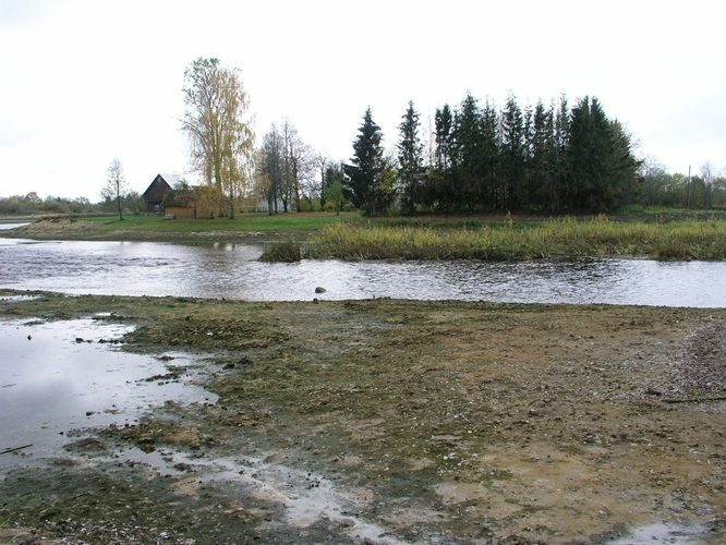 Maakond: Jõgevamaa Veekogu nimi: Põltsamaa jõgi Pildistamise aeg: 16. oktoober 2007 Pildistaja: H. Timm Pildistamise koht: enne Väike-Kamari paisjärve Asimuut: