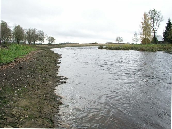 Maakond: Jõgevamaa Veekogu nimi: Põltsamaa jõgi Pildistamise aeg: 16. oktoober 2007 Pildistaja: H. Timm Pildistamise koht: enne Väike-Kamari paisjärve Asimuut: