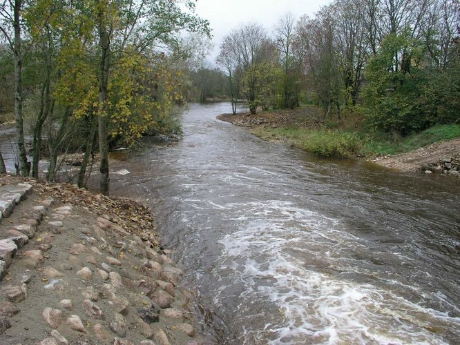 Maakond: Jõgevamaa Veekogu nimi: Põltsamaa jõgi Pildistamise aeg: 16. oktoober 2007 Pildistaja: H. Timm Pildistamise koht: allpool Väike-Kamari paisjärve Asimuut: