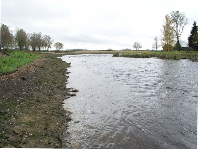 Maakond: Jõgevamaa Veekogu nimi: Põltsamaa jõgi Pildistamise aeg: 16. oktoober 2007 Pildistaja: H. Timm Pildistamise koht: enne Väike-Kamari paisjärve Asimuut: