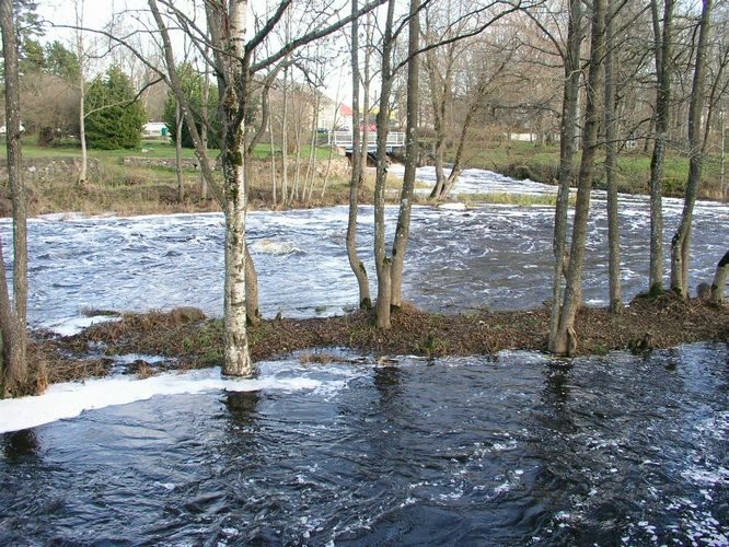 Maakond: Jõgevamaa Veekogu nimi: Põltsamaa jõgi Pildistamise aeg: 2. november 2008 Pildistaja: H. Timm Pildistamise koht: Põltsamaa Asimuut: