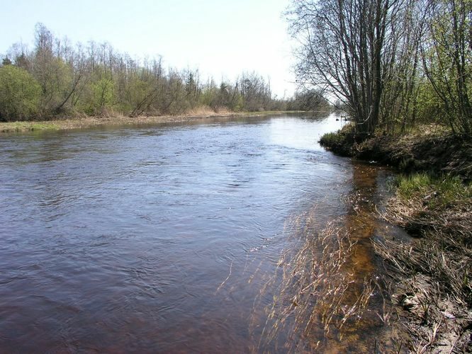 Maakond: Jõgevamaa Veekogu nimi: Põltsamaa jõgi Pildistamise aeg: 1. mai 2009 Pildistaja: H. Timm Pildistamise koht: Tallinna - Tartu mnt silla juurest Asimuut: