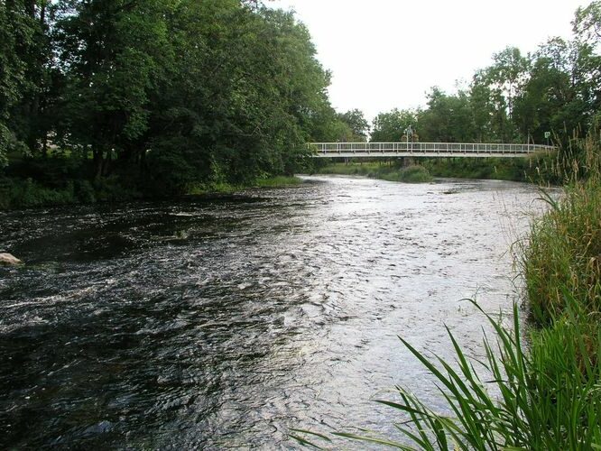 Maakond: Jõgevamaa Veekogu nimi: Põltsamaa jõgi Pildistamise aeg: 30. juuli 2009 Pildistaja: H. Timm Pildistamise koht: Põltsamaa paisu all Asimuut: