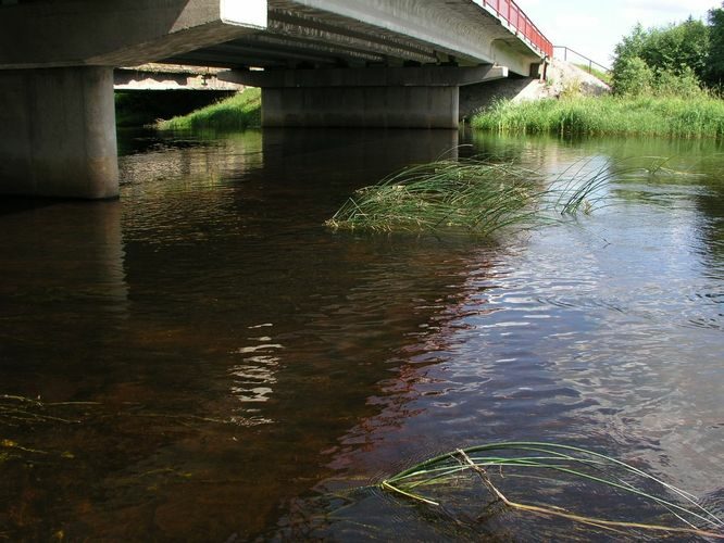 Maakond: Jõgevamaa Veekogu nimi: Põltsamaa jõgi Pildistamise aeg: 30. juuli 2009 Pildistaja: H. Timm Pildistamise koht: Tallinna - Tartu mnt silla juurest Asimuut: