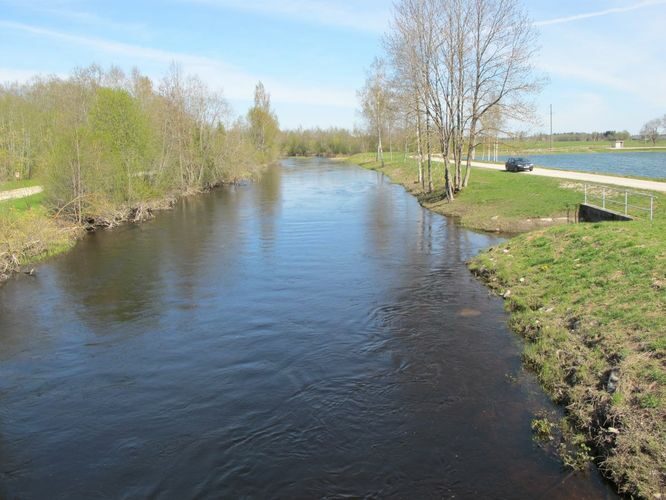 Maakond: Jõgevamaa Veekogu nimi: Põltsamaa jõgi Pildistamise aeg: 7. mai 2011 Pildistaja: H. Timm Pildistamise koht: Pajusi Asimuut: