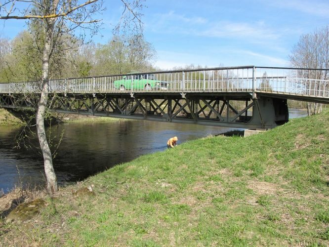 Maakond: Jõgevamaa Veekogu nimi: Põltsamaa jõgi Pildistamise aeg: 7. mai 2011 Pildistaja: H. Timm Pildistamise koht: Pajusi Asimuut: