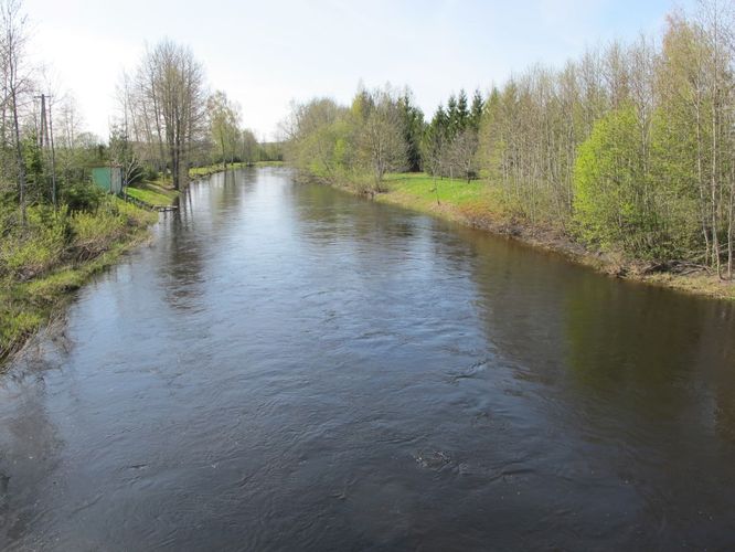 Maakond: Jõgevamaa Veekogu nimi: Põltsamaa jõgi Pildistamise aeg: 7. mai 2011 Pildistaja: H. Timm Pildistamise koht: Pajusi Asimuut: