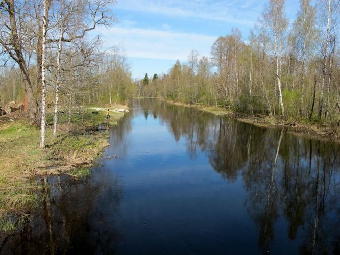 Maakond: Jõgevamaa Veekogu nimi: Põltsamaa jõgi Pildistamise aeg: 7. mai 2011 Pildistaja: H. Timm Pildistamise koht: Rutikvere Asimuut: