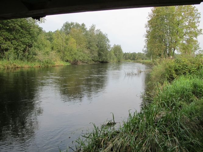 Maakond: Jõgevamaa Veekogu nimi: Põltsamaa jõgi Pildistamise aeg: 17. september 2012 Pildistaja: H. Timm Pildistamise koht: Pajusi Asimuut: