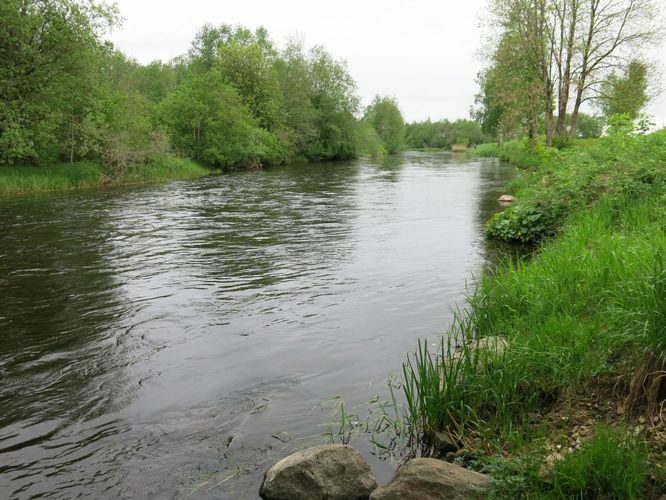 Maakond: Jõgevamaa Veekogu nimi: Põltsamaa jõgi Pildistamise aeg: 22. mai 2013 Pildistaja: H. Timm Pildistamise koht: Pajusi Asimuut: