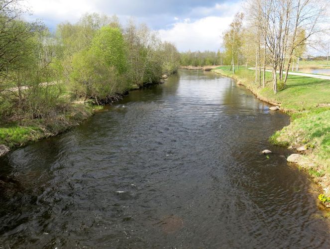 Maakond: Jõgevamaa Veekogu nimi: Põltsamaa jõgi Pildistamise aeg: 2. mai 2014 Pildistaja: H. Timm Pildistamise koht: Pajusi Asimuut: