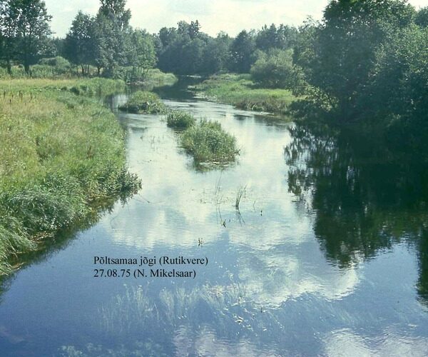 Maakond: Järvamaa Veekogu nimi: Põltsamaa jõgi Pildistamise aeg: 27. august 1975 Pildistaja: N. Mikelsaar Pildistamise koht: Rutikvere p Asimuut: