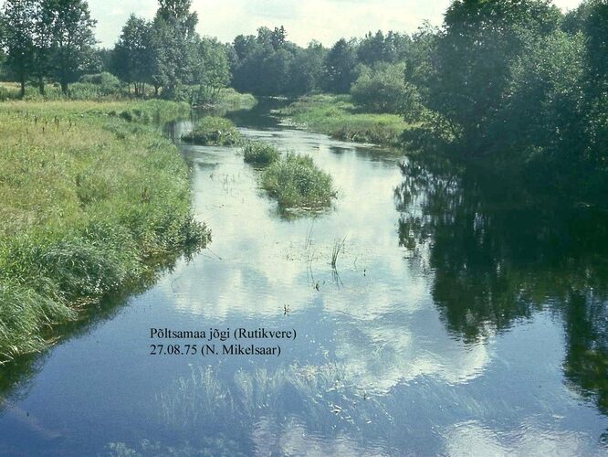 Maakond: Järvamaa Veekogu nimi: Põltsamaa jõgi Pildistamise aeg: 27. august 1975 Pildistaja: N. Mikelsaar Pildistamise koht: Rutikvere p Asimuut: