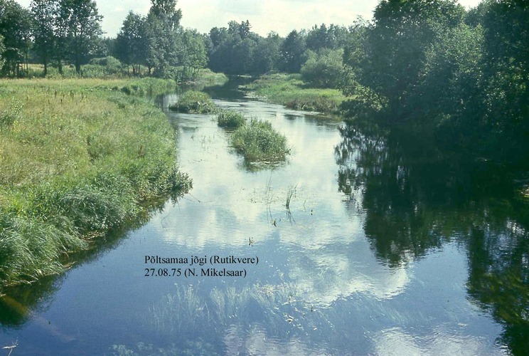 Maakond: Järvamaa Veekogu nimi: Põltsamaa jõgi Pildistamise aeg: 27. august 1975 Pildistaja: N. Mikelsaar Pildistamise koht: Rutikvere p Asimuut: