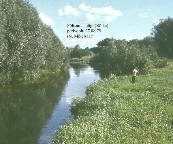 Maakond: Järvamaa Veekogu nimi: Põltsamaa jõgi Pildistamise aeg: 27. august 1975 Pildistaja: N. Mikelsaar Pildistamise koht: R Asimuut: