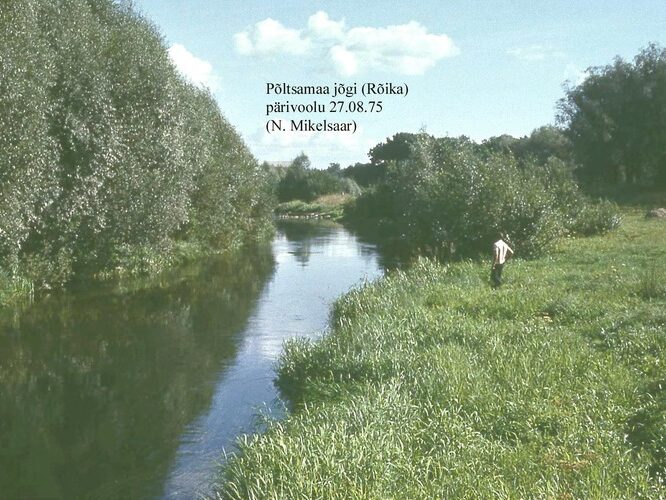 Maakond: Järvamaa Veekogu nimi: Põltsamaa jõgi Pildistamise aeg: 27. august 1975 Pildistaja: N. Mikelsaar Pildistamise koht: R Asimuut: