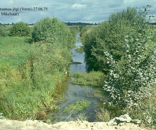 Maakond: Järvamaa Veekogu nimi: Põltsamaa jõgi Pildistamise aeg: 27. august 1975 Pildistaja: N. Mikelsaar Pildistamise koht: Vorsti, sillalt vastuvoolu Asimuut: