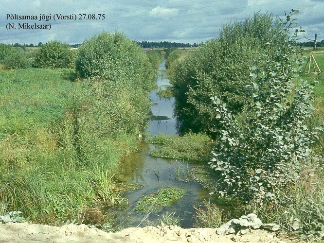 Maakond: Järvamaa Veekogu nimi: Põltsamaa jõgi Pildistamise aeg: 27. august 1975 Pildistaja: N. Mikelsaar Pildistamise koht: Vorsti, sillalt vastuvoolu Asimuut: