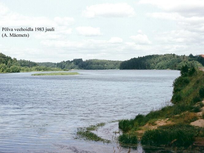 Maakond: Põlvamaa Veekogu nimi: Põlva veehoidla Pildistamise aeg: juuli 1983 Pildistaja: A. Mäemets Pildistamise koht: teadmata Asimuut: