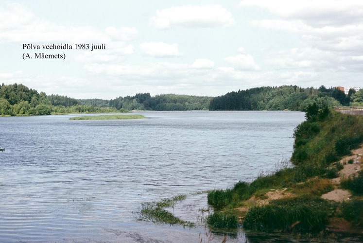 Maakond: Põlvamaa Veekogu nimi: Põlva veehoidla Pildistamise aeg: juuli 1983 Pildistaja: A. Mäemets Pildistamise koht: teadmata Asimuut: