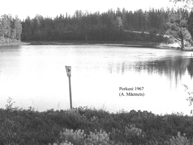 Maakond: Lääne-Virumaa Veekogu nimi: Porkuni järv Pildistamise aeg: 1967 Pildistaja: A. Mäemets Pildistamise koht: teadmata Asimuut: