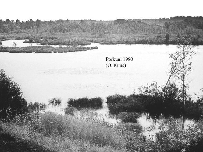 Maakond: Lääne-Virumaa Veekogu nimi: Porkuni järv Pildistamise aeg: 1980 Pildistaja: O. Kuus (Eesti Looduse arhiiv) Pildistamise koht: teadmata Asimuut: