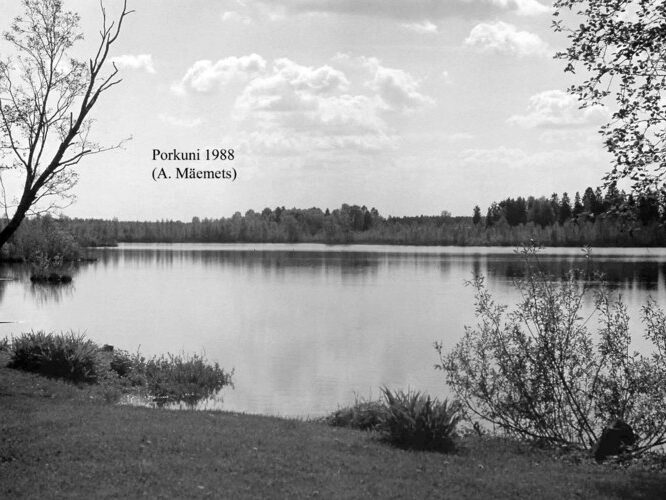 Maakond: Lääne-Virumaa Veekogu nimi: Porkuni järv Pildistamise aeg: 1988 Pildistaja: A. Mäemets Pildistamise koht: teadmata Asimuut: