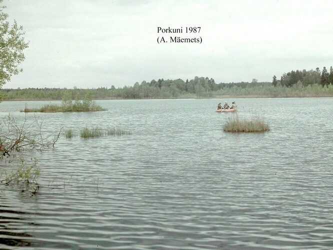 Maakond: Lääne-Virumaa Veekogu nimi: Porkuni järv Pildistamise aeg: 1988 Pildistaja: A. Mäemets Pildistamise koht: teadmata Asimuut: