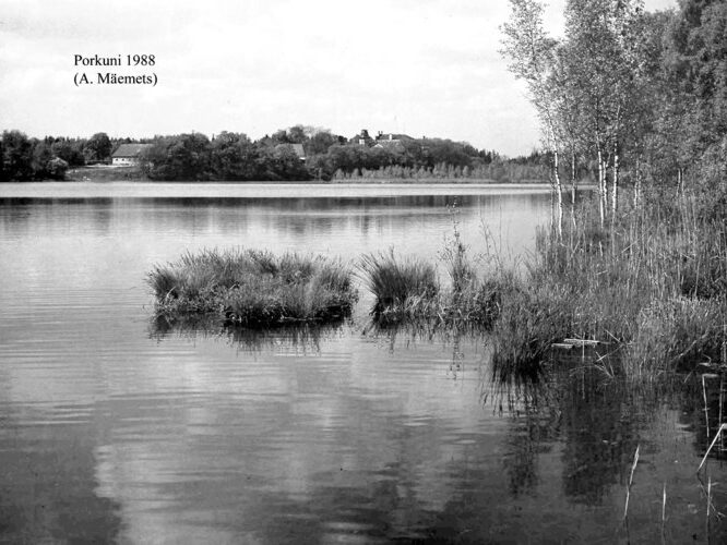 Maakond: Lääne-Virumaa Veekogu nimi: Porkuni järv Pildistamise aeg: 1988 Pildistaja: A. Mäemets Pildistamise koht: teadmata Asimuut: