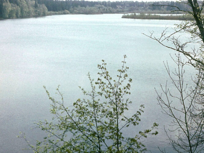 Maakond: Lääne-Virumaa Veekogu nimi: Porkuni järv Pildistamise aeg: teadmata Pildistaja: A. Maspuran Pildistamise koht: teadmata Asimuut: