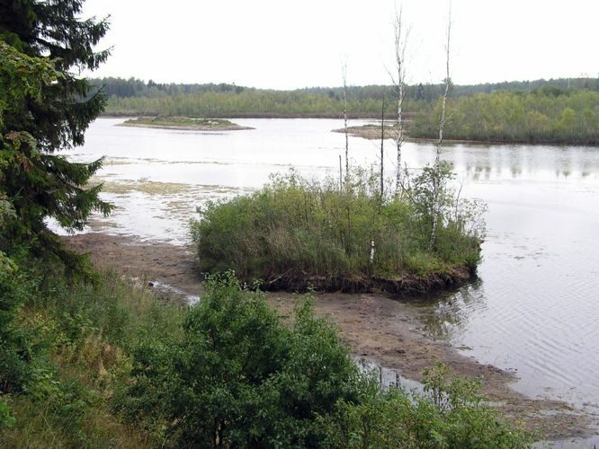 Maakond: Lääne-Virumaa Veekogu nimi: Porkuni paisjärv Pildistamise aeg: 6. september 2006 Pildistaja: H. Timm Pildistamise koht: teadmata Asimuut: