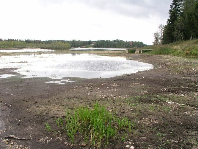 Maakond: Lääne-Virumaa Veekogu nimi: Porkuni paisjärv Pildistamise aeg: 6. september 2006 Pildistaja: H. Timm Pildistamise koht: teadmata Asimuut: