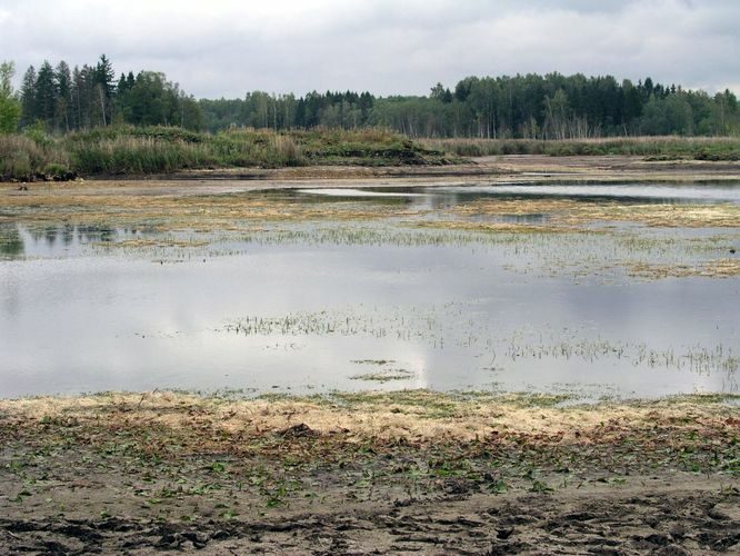 Maakond: Lääne-Virumaa Veekogu nimi: Porkuni paisjärv Pildistamise aeg: 6. september 2006 Pildistaja: H. Timm Pildistamise koht: teadmata Asimuut: