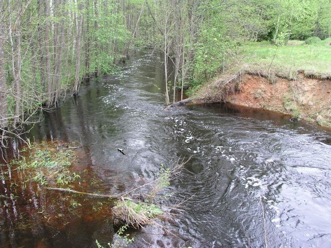 Maakond: Ida-Virumaa Veekogu nimi: Poruni jõgi Pildistamise aeg: 21. mai 2003 Pildistaja: H. Timm Pildistamise koht: teadmata Asimuut: