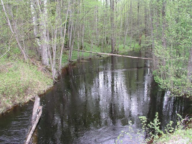 Maakond: Ida-Virumaa Veekogu nimi: Poruni jõgi Pildistamise aeg: 21. mai 2003 Pildistaja: H. Timm Pildistamise koht: teadmata Asimuut: