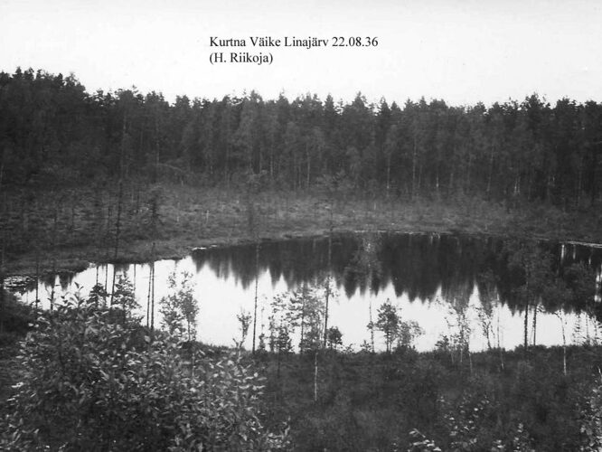 Maakond: Ida-Virumaa Veekogu nimi: Potrijärv Pildistamise aeg: 22. august 1936 Pildistaja: H. Riikoja Pildistamise koht: teadmata Asimuut: NW