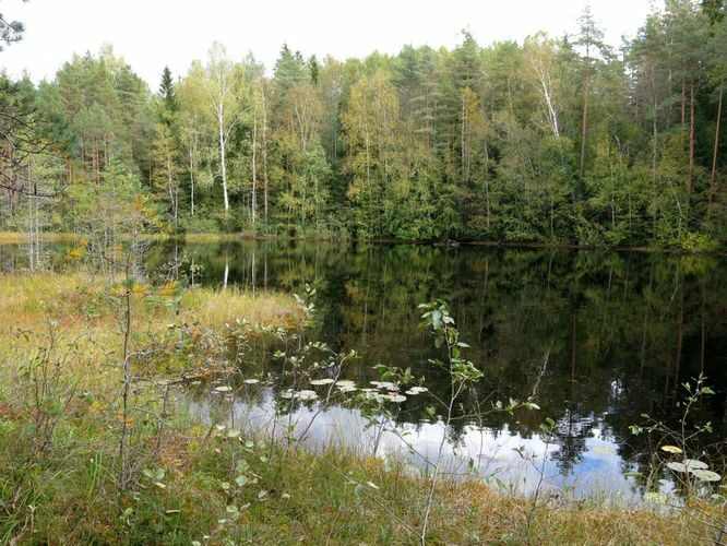 Maakond: Ida-Virumaa Veekogu nimi: Potrijärv Pildistamise aeg: 24. september 2014 Pildistaja: H. Timm Pildistamise koht: teadmata Asimuut: